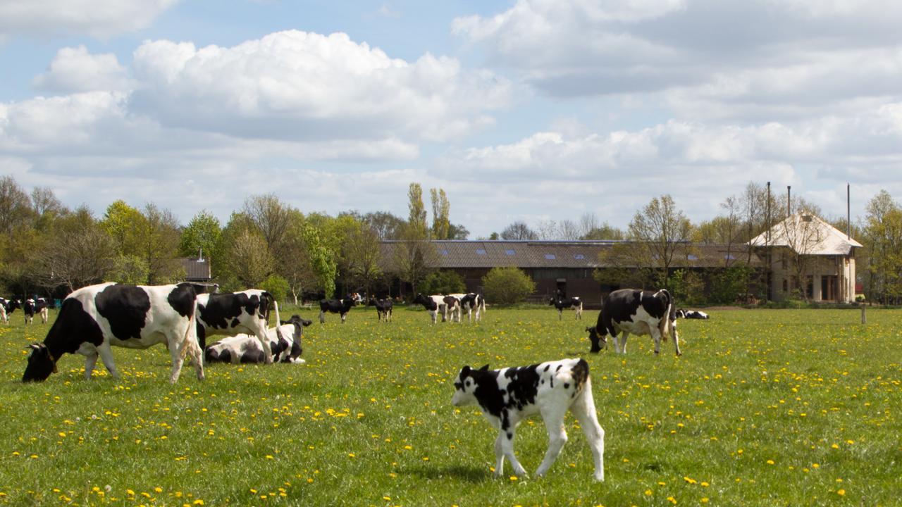 Biotel Achterhoek Lievelde Exteriér fotografie
