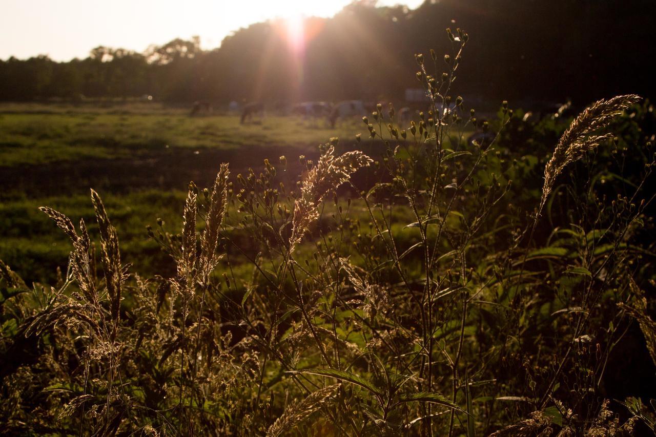 Biotel Achterhoek Lievelde Exteriér fotografie